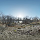 HDRI – Nobelparkens arboretum (senvinter, middag) – förhandsgranskning (EV 11.40; Filmic Blender)