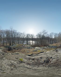 HDRI – Nobelparkens arboretum (senvinter, middag) – förhandsgranskning (EV 11.40; Filmic Blender)