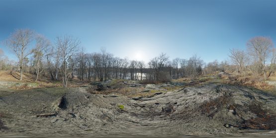 HDRI – Nobelparkens arboretum (senvinter, middag) – förhandsgranskning (EV 11.40; Filmic Blender)