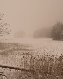 Getesjön – fotografi av Sanning Arkitekter