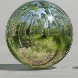 HDRI – Björkdunge (sommar, sen förmiddag) – spegeldank utan horisont (EV 11.55; Filmic Blender)