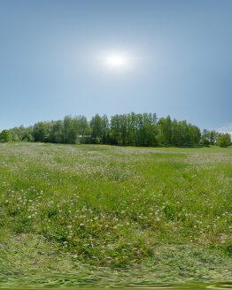 HDRI – Maskrosfält (sommar, middag) – förhandsgranskning (EV 12.25; Filmic Blender)