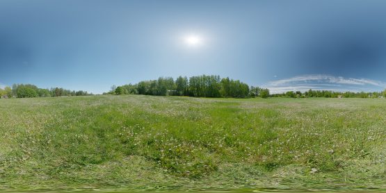 HDRI – Maskrosfält (sommar, middag) – förhandsgranskning (EV 12.25; Filmic Blender)