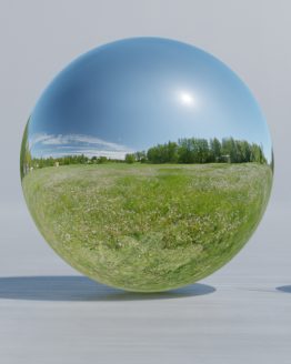 HDRI – Maskrosfält (sommar, middag) – spegeldank utan horisont (EV 12.25; Filmic Blender)