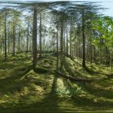 HDRI – Skogsmosse (sommar, eftermiddag) – förhandsgranskning (EV 8.25; Filmic Blender)