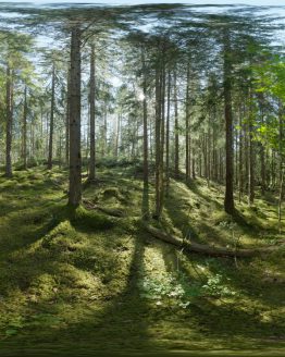 HDRI – Skogsmosse (sommar, eftermiddag) – förhandsgranskning (EV 8.25; Filmic Blender)