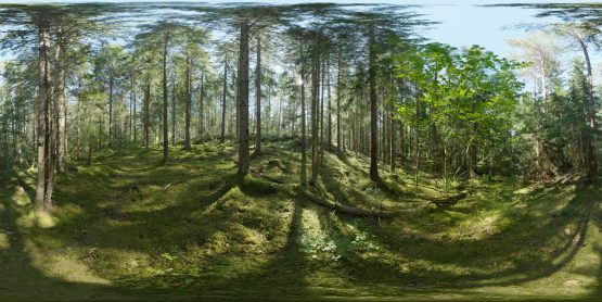 HDRI – Skogsmosse (sommar, eftermiddag) – förhandsgranskning (EV 8.25; Filmic Blender)