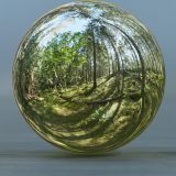 HDRI – Skogsmosse (sommar, eftermiddag) – spegeldank utan horisont (EV 8.25; Filmic Blender)