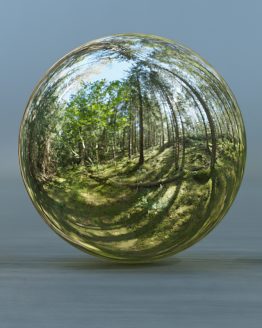 HDRI – Skogsmosse (sommar, eftermiddag) – spegeldank utan horisont (EV 8.25; Filmic Blender)