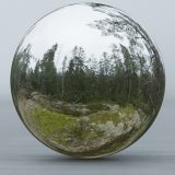 HDRI – Fuktig skog (höst, eftermiddag)
