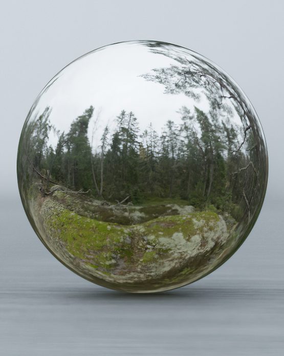 HDRI – Fuktig skog (höst, eftermiddag)