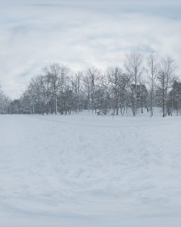 HDRI – Vinterlandskap (vinter, eftermiddag)